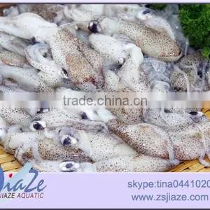 Frozen Seafood Baby Squid thumbnail-3