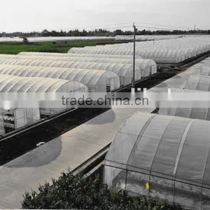 Hot Sale Film Covering Tunnel Strawberry Greenhouse thumbnail-3