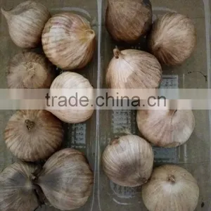 Import Black Garlic From China,black Garlic Manufacturer thumbnail-5