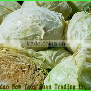 2015 Fresh Cabbages/Cabbage Exported to Southeast Asia, the Middle East thumbnail-2