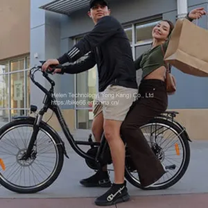 Factory Supply 20'' E-bike Aluminium Alloy Electric Fat Bicycle Commuting Electric Bike With Warrantly Look for Business Agent thumbnail-2