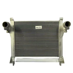 Radiator DONGFENG TRUCK INTERCOOLER 1119010-KS110 thumbnail-1