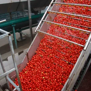 2025 Crop Concentrated Tomato Paste thumbnail-4