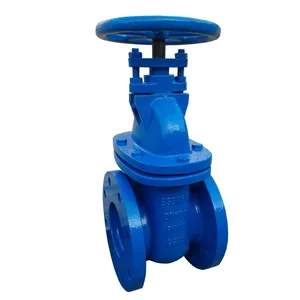 BS Rising Stem Resilient Seat Gate Valve Rubber Lined for Potable Water thumbnail-4