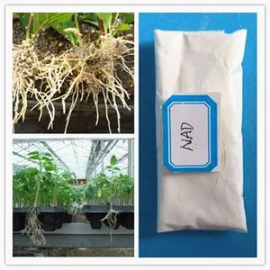 High Purity Plant Growth Regulator 1-naphthaleneacetamide Nad 98%TC thumbnail-3