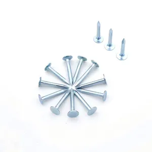 25kg Carton Galvanized Roofing Clout Nails - Made in China for Bulk Orders thumbnail-3
