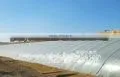 Agricutural Film thumbnail-1