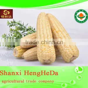 2014 Hot Selling Dried Corn for Sale thumbnail-3