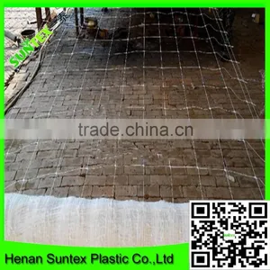 Heavy Duty Long-lasting Polyester Trellis Netting Plant Support Net thumbnail-4