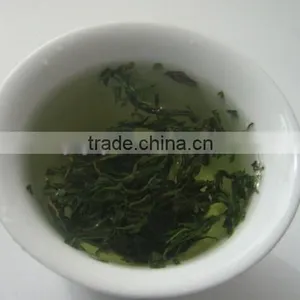Gojiberry Sprout Tea thumbnail-2