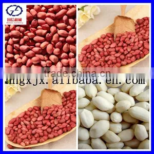 High Quality Hot Sale Tunnel Peanut Microwave Dryer thumbnail-1