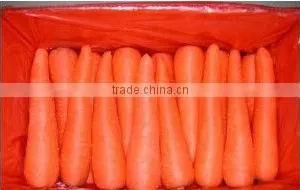 Carrots thumbnail-1