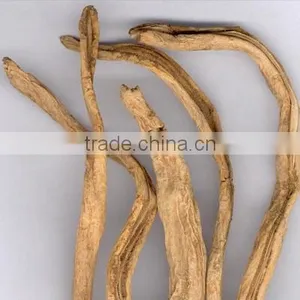 Stenona Root Extract thumbnail-1