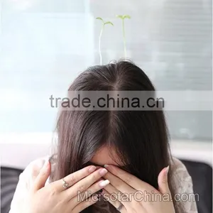 Wholesale Funny Bean Sprout Hairpins Antenna Hairpins/Hair Clips thumbnail-6