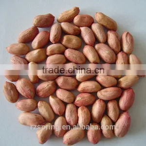 Chinese Good Quality Peanut Kernels thumbnail-1