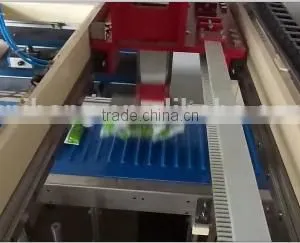 Salt Bags Case Packer, Case Packaging Machine thumbnail-5