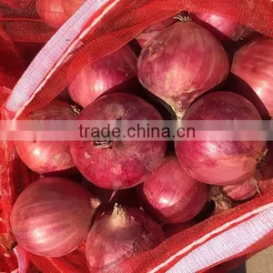 Chinese Lowest Price Fresh Red Onion thumbnail-1