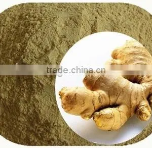 Sulfur-free Ginger Powder Ginger Extract Powder thumbnail-1