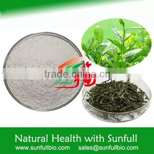 High Purity Green Tea Extract EGCG thumbnail-1