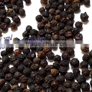 VIETNAM BLACK PEPPER /whatsapp +84963818434 thumbnail-1