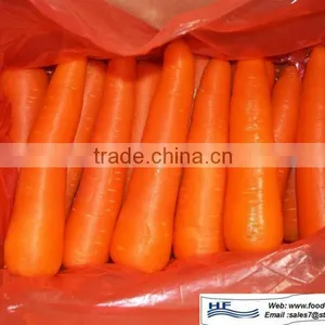 Vegetable Fresh Carrot thumbnail-1