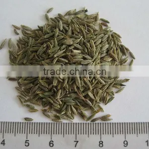 New Crop Cumin Seeds thumbnail-1