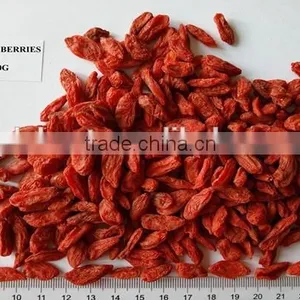Lycium Fruit thumbnail-3
