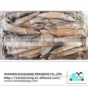 Frozen Squid Supplier thumbnail-3
