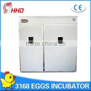 High Quality Hot Selling Used Chicken Egg Incubator for Sale Chicken Egg Incubator thumbnail-1