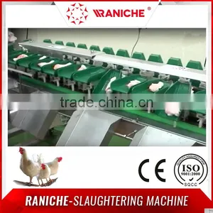 Automatic Weighing Grader for Poultry Food thumbnail-4