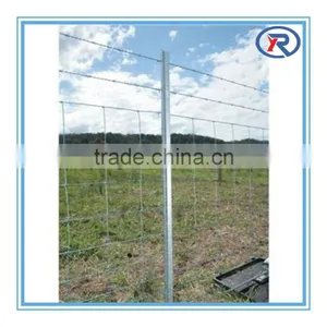 Heibei China Galvanized Y Type Star Fence Post/steel Fence Pole thumbnail-6