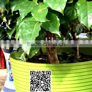 300*270 Biodegradable Colorful Plant Fiber Flower Pot thumbnail-3