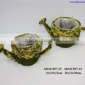 Moss Jug Pot for Flower Plantting thumbnail-1