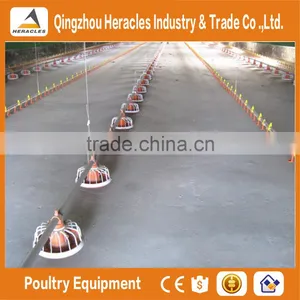 Heracles Sereis Complete Automatic Poultry Farm Equipment for Broilers and Breeders thumbnail-5