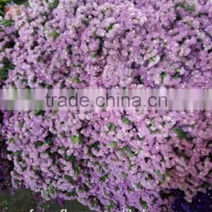 Export Statice Pink Flowers For The Valentine's Day thumbnail-3