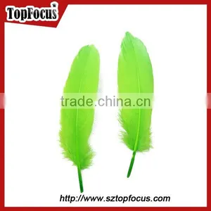 Hot Sale Home Decor Black Natural Goose Feathers for Shuttlecock for Sale thumbnail-4