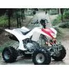 Sell 150cc Engine ATV With EEC, 4-Stroke, Single Cylinder, Air Cooled thumbnail-1