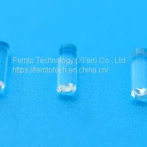 Gradient Index Optical Lens thumbnail-1