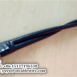 2 Core ABC Cable thumbnail-2