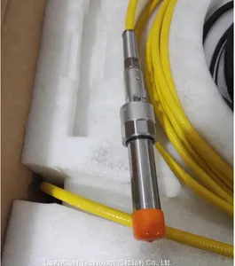 Raycus 10w 20w 30w 50w Pulsed Fiber Laser Source thumbnail-4