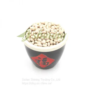 White Haricot Beans 500-550pcs/100g thumbnail-1