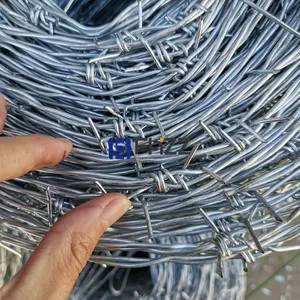 Hot Dipped Galvanized Double Twisted Seel Barbed Wire for High Security Chain Link Fence thumbnail-1