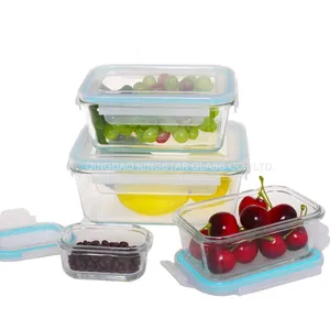 Borosilicate Glass Food Container thumbnail-1