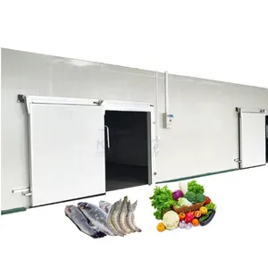 Large Modular Cold Room Fruit Vegetables Meat Cold Storage Warehouse Walk in Freezer thumbnail-1