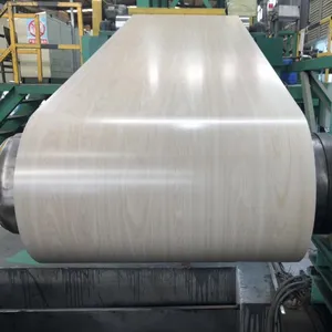 Factory Supply RAL Series PPGI Color Coated Galvanized Steel Coil Prepainted Steel Coil For Roof Panel thumbnail-5