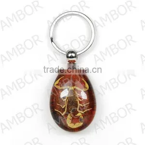 Wholesale Real Flower and Insect Keychain Promotional thumbnail-5