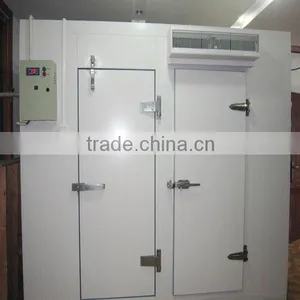 B2 Fire Rating Hinged Freezer Door for Cold Room thumbnail-2