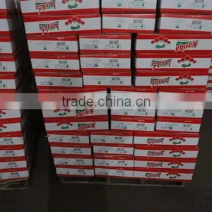 800g Canned Tomato Paste or Ketchup thumbnail-1