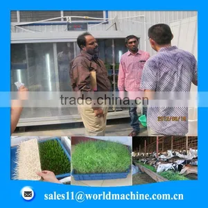 Hydroponic Fodder Fodder Solutions Hydroponic Fodder Machine thumbnail-1