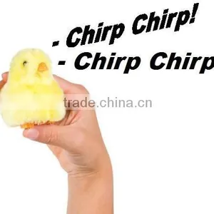 New Arrival Chirpin' Chick Novelty Toy for Easter thumbnail-3